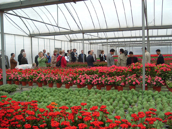 U.S. Agriculture Group